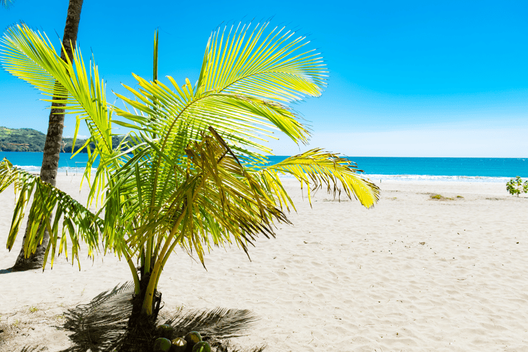 mid-america-suriname-paramaribo-caribo-beach