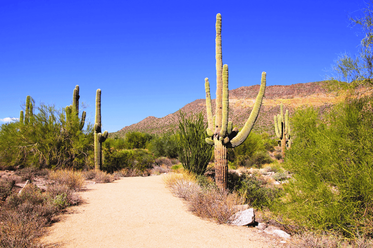 mid-america-unitedstates-phoenix-desert