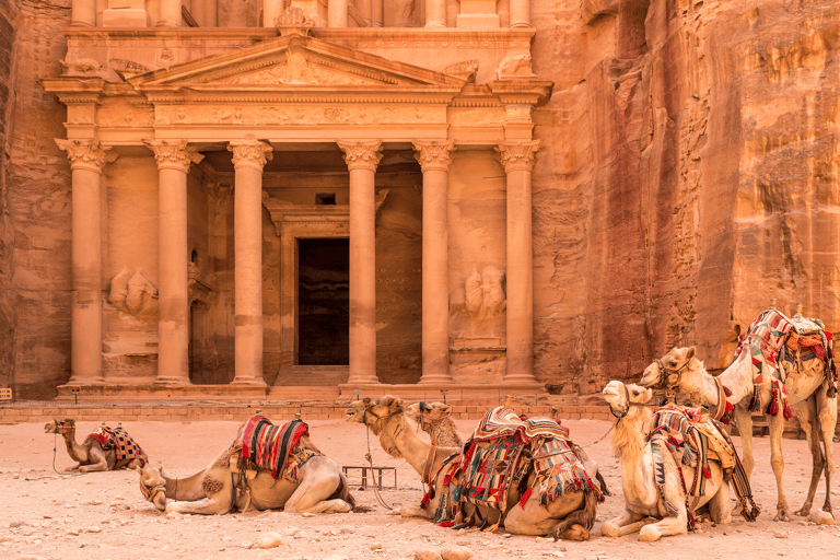 middle-east-jordan-temple-petra-camels