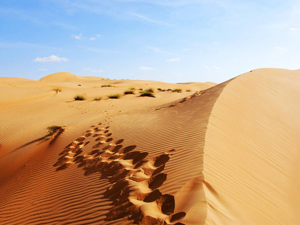 Muscat, een Arabisch paradijs