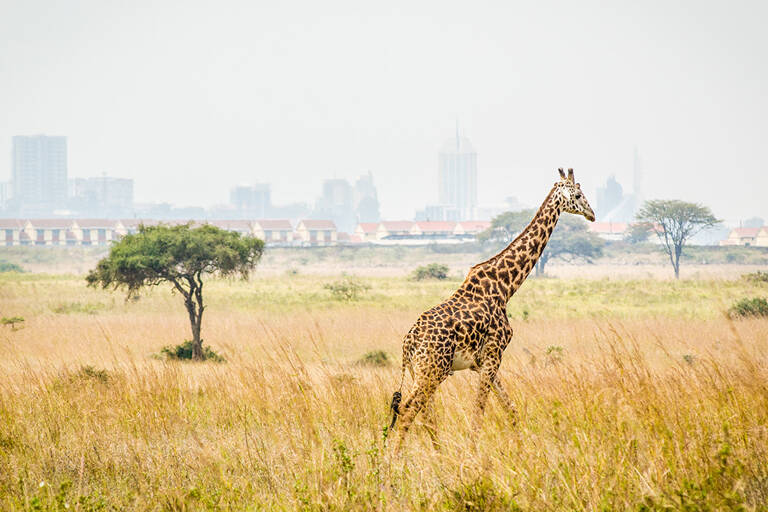 nairobi