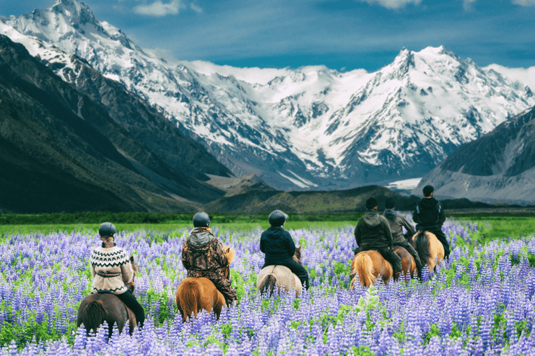 new-zealand-horseback-riding