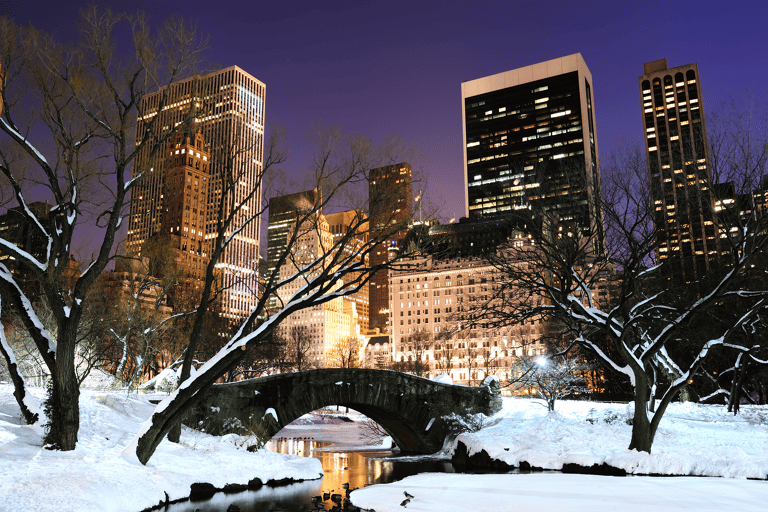 north-americ-new-york-central-park-winter-christmas