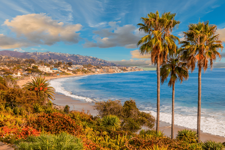 north-america-california-beach-palm-trees
