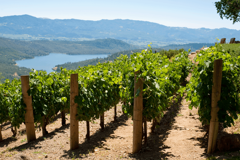 north-america-california-napa-valley-lake-vineyard
