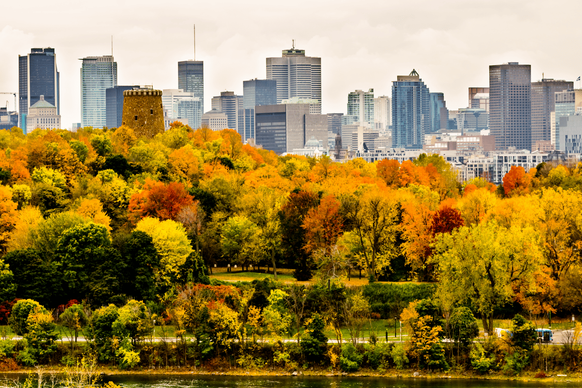 De 5 populairste steden in Canada