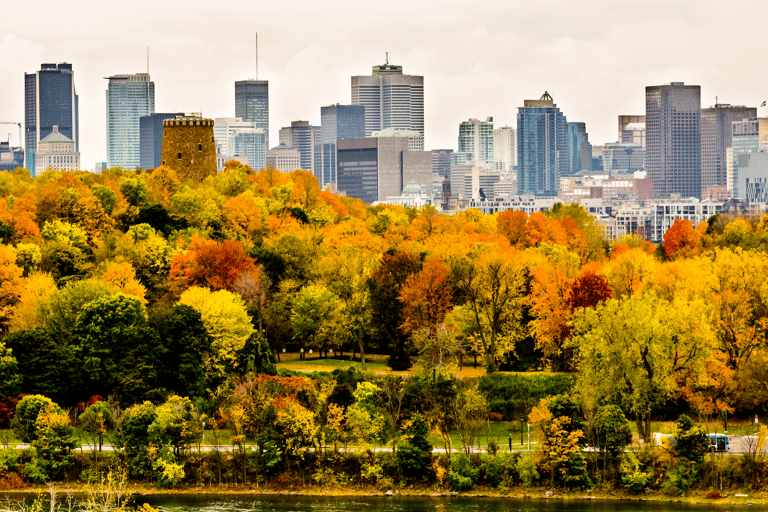 north-america-canada-montreal-city-view-autumn-trees