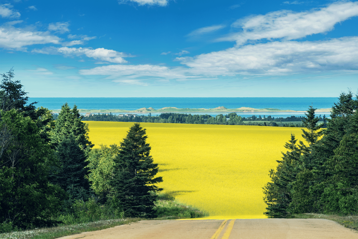 Beautiful Islands in North America