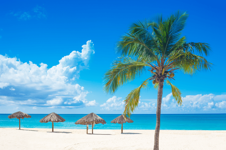 north-america-carribean-curacao-beach-palm-trees-blue-sea-white-sand