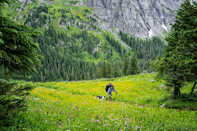 north-america-colorado-mt-sneffels-wilderness-blue-lake-hiker-beautiful-mountain-flowers-male-dog