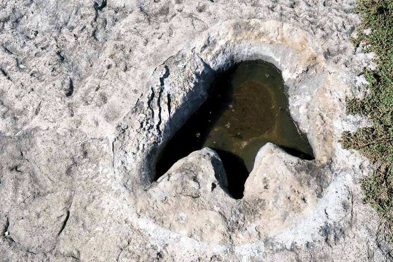north-america-texas-dinosaur-state-valley-park-dino-footprint