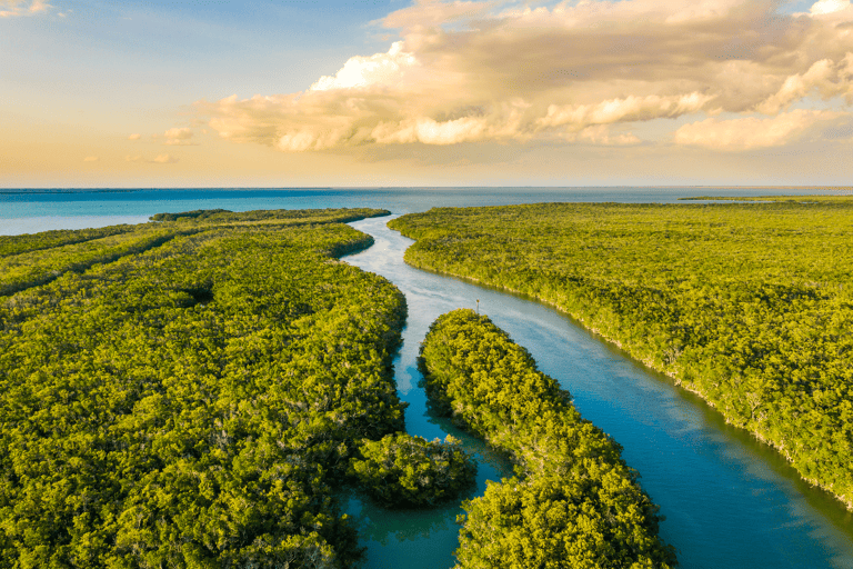 north-america-united-states-florida-everglades-national-park