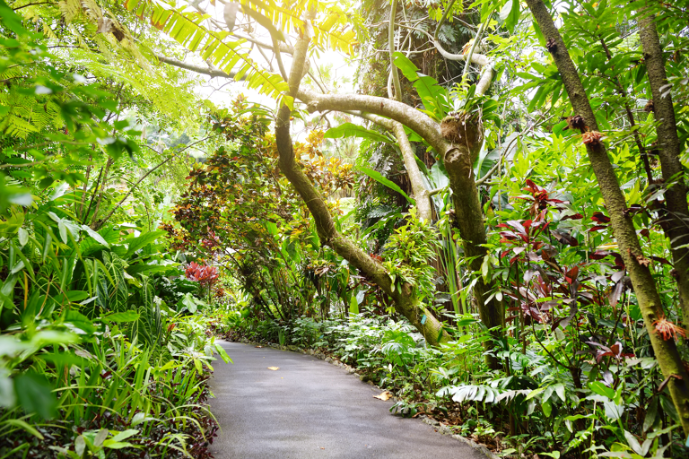 north-america-united-states-hawaii-botanical-garden