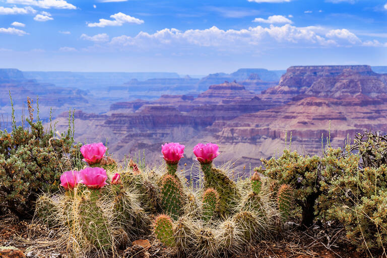 north-america-us-grand-canyon-blog-1050x700