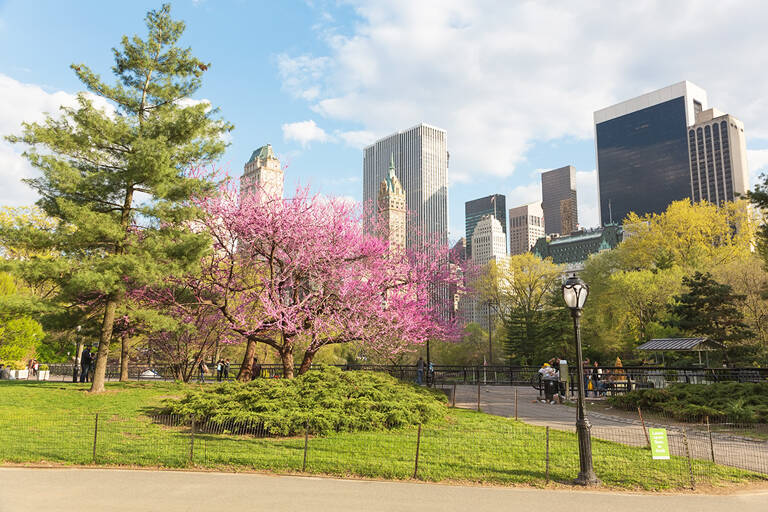 north-america-us-new-york-blog-1050x700