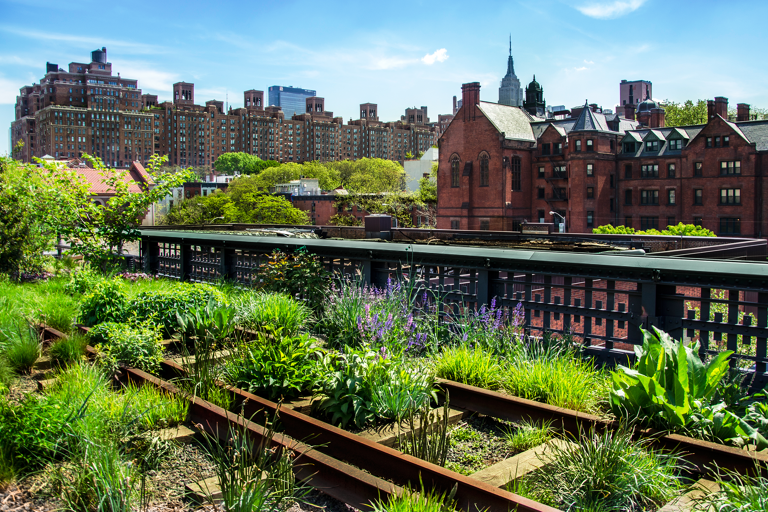 north-america-usa-new-york-city-high-line-park