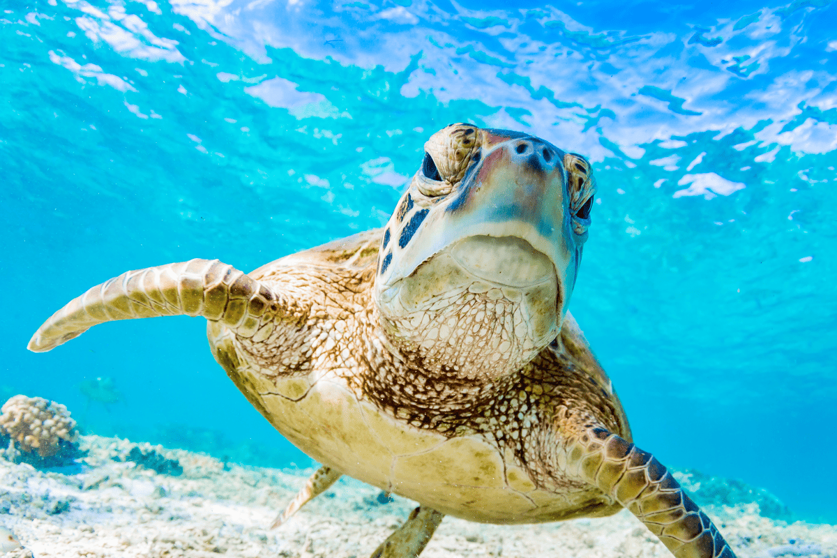 Adembenemend! De 7 mooiste natuurwonderen van de wereld