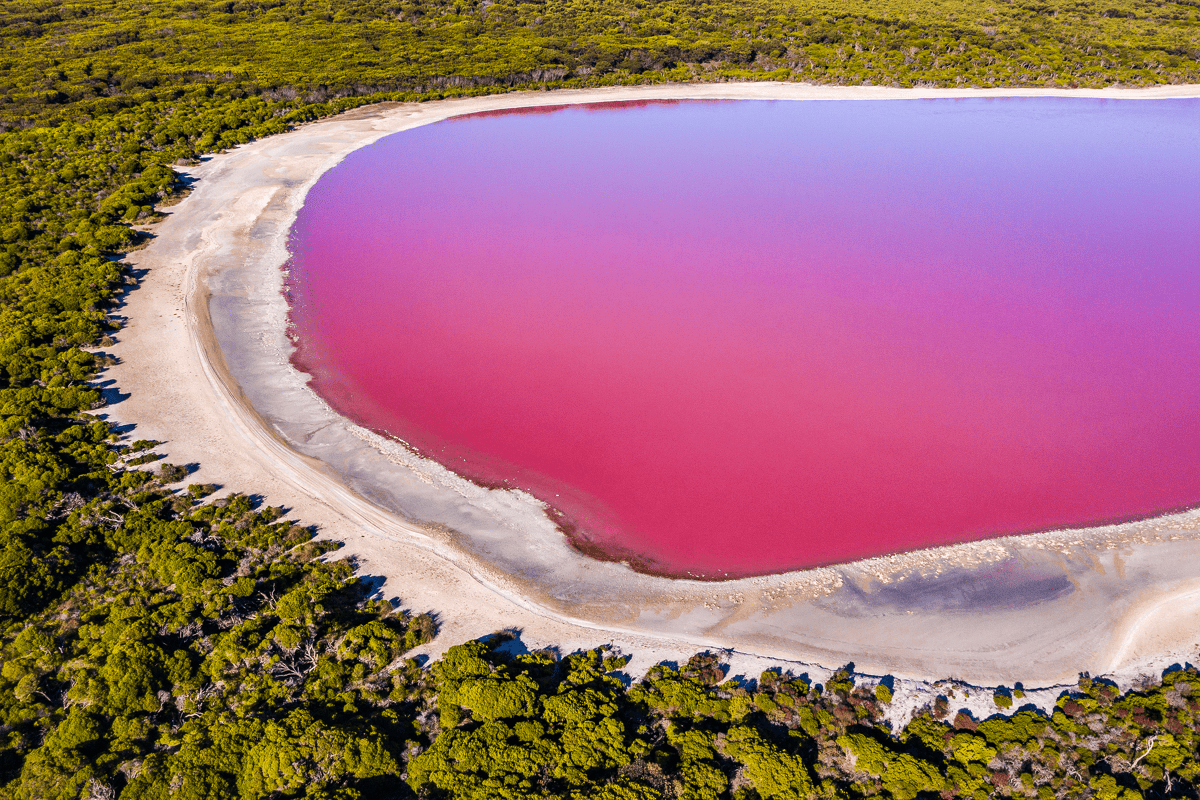 Wunderschöne pinke Seen weltweit