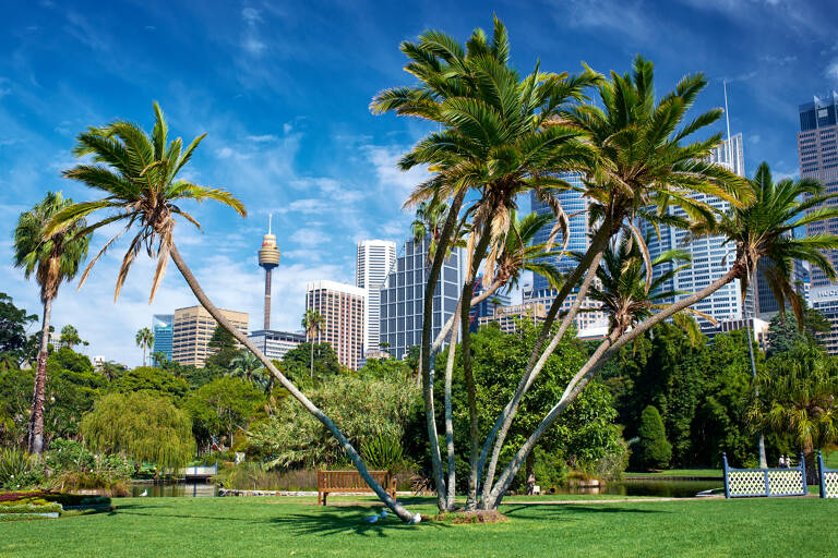 oceania-australia-sydney-royal-botanic-gardens