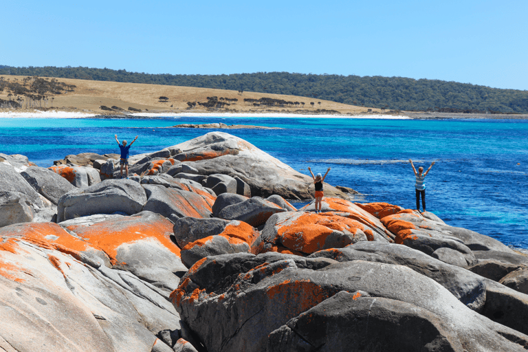 oceania-australia-tasmania-bay-of-fires-hike