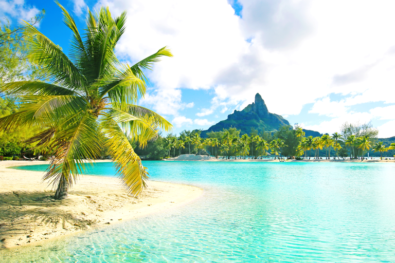 oceania-new-sealand-polynesian-moana-decor