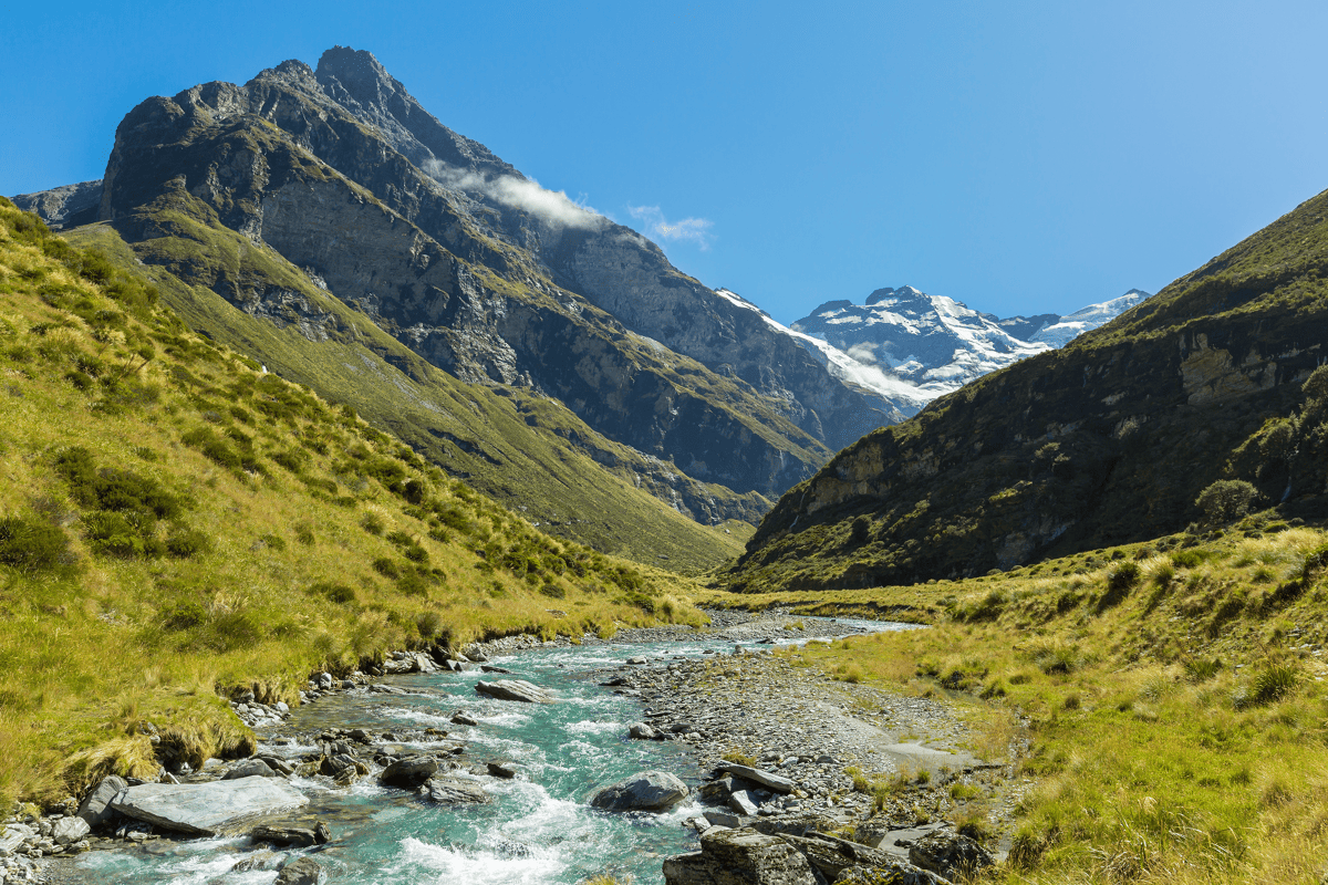 A Hobbit's Travel Guide to New Zealand