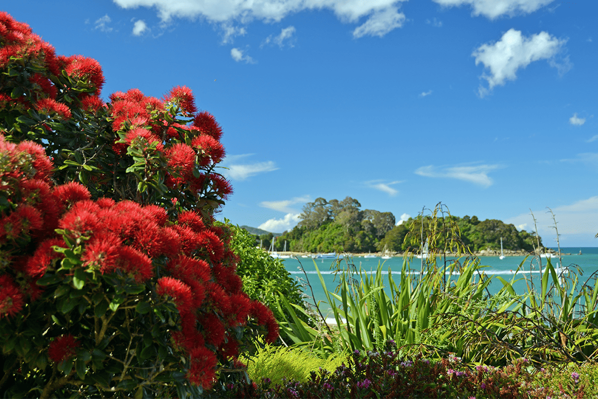Nature & wildlife in New Zealand: top 10 must-do activities