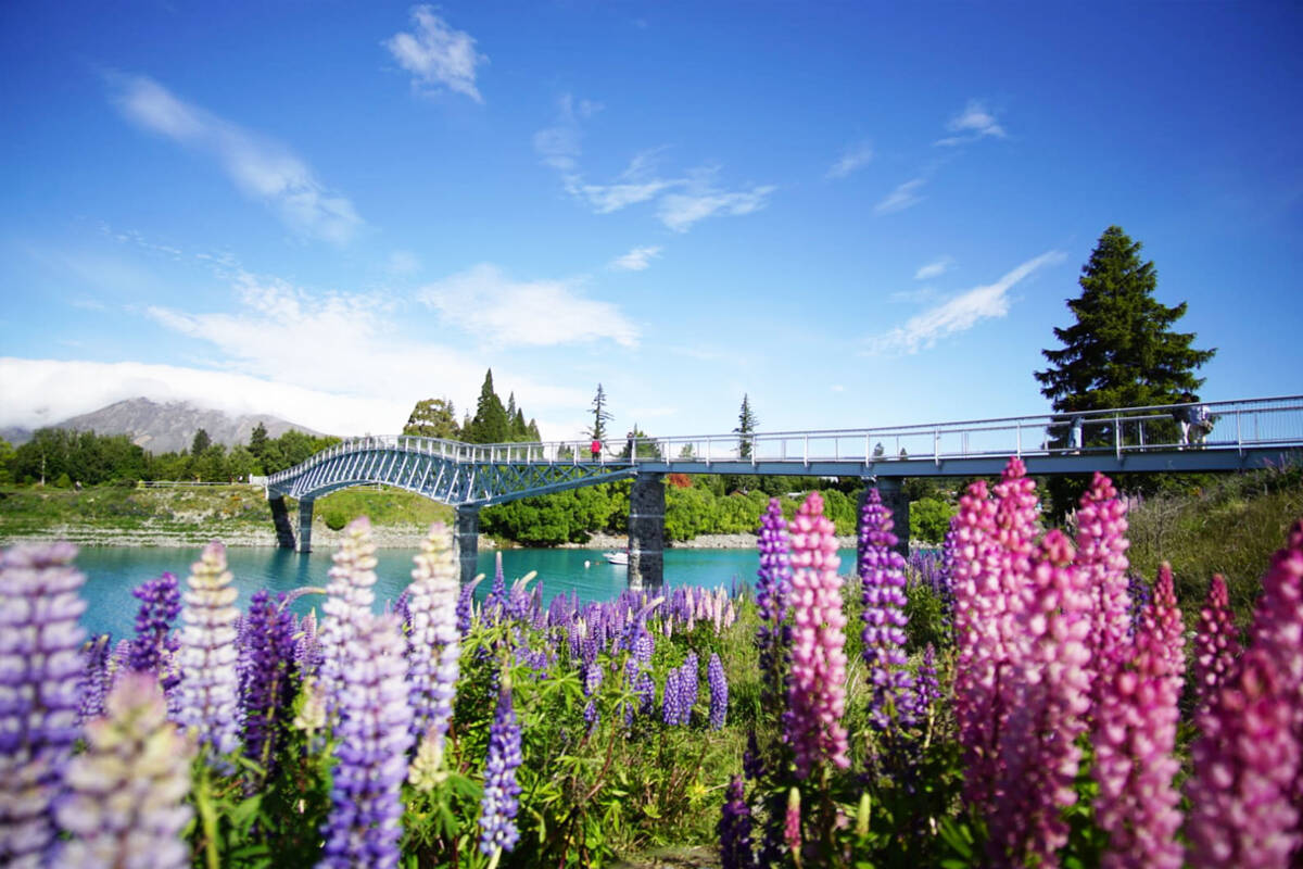 12 Days New Zealand South Island Road Trip Itinerary