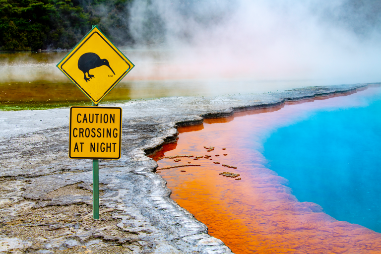 oceania-new-zealand-road-crossing-kiwi-hot-pools