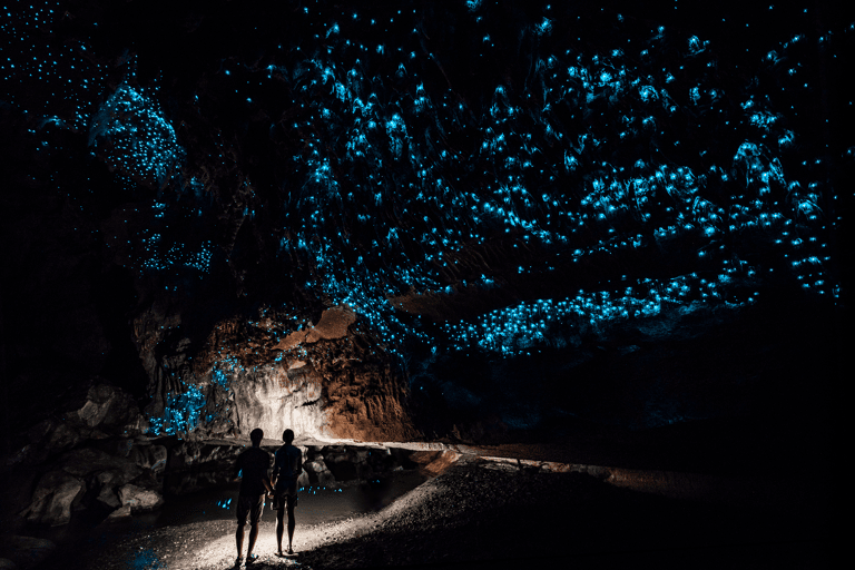 oceania-new-zealand-waipu-caves-glowworm