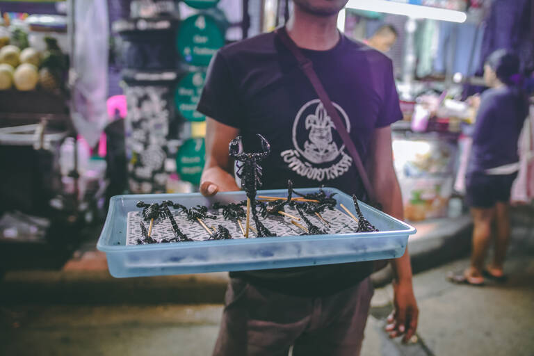 onlyblogUK-asia-thailand-food-scorpions