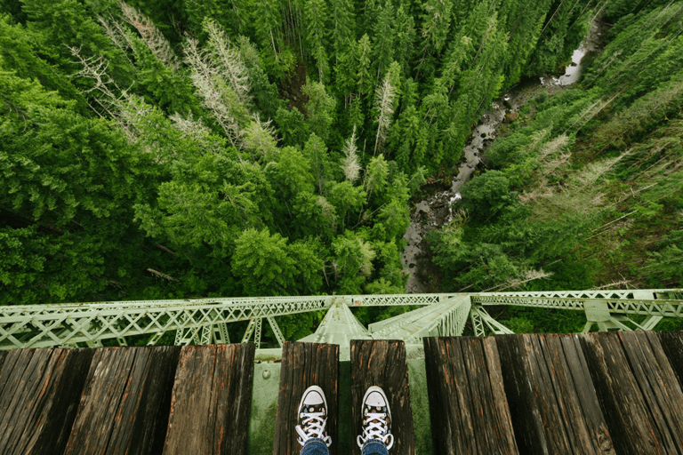 sequim-bridge-washtington