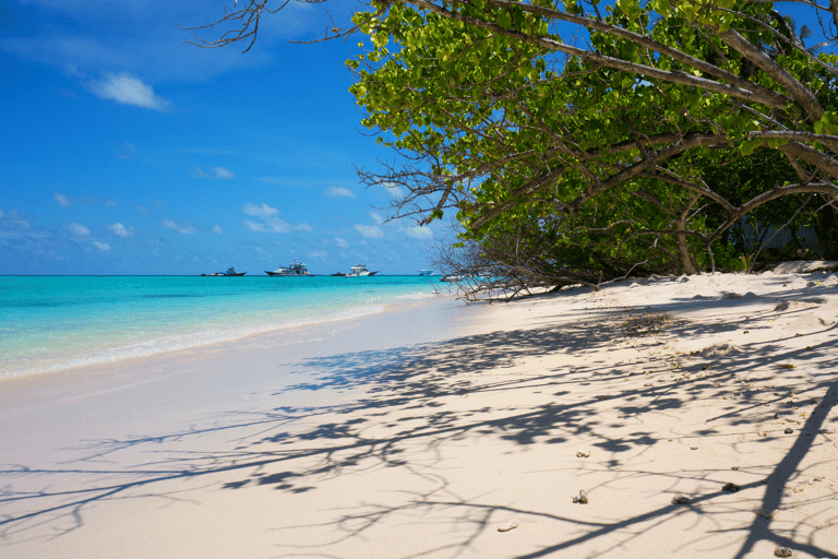 shannen-asia-maldives-fulidhoo-beach-tree-boats