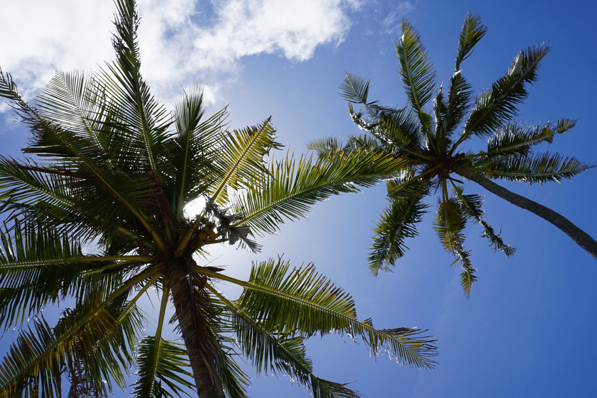CheapTrips: met een kleiner budget naar de paradijselijke Malediven