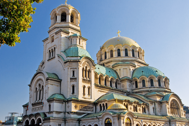 sofia