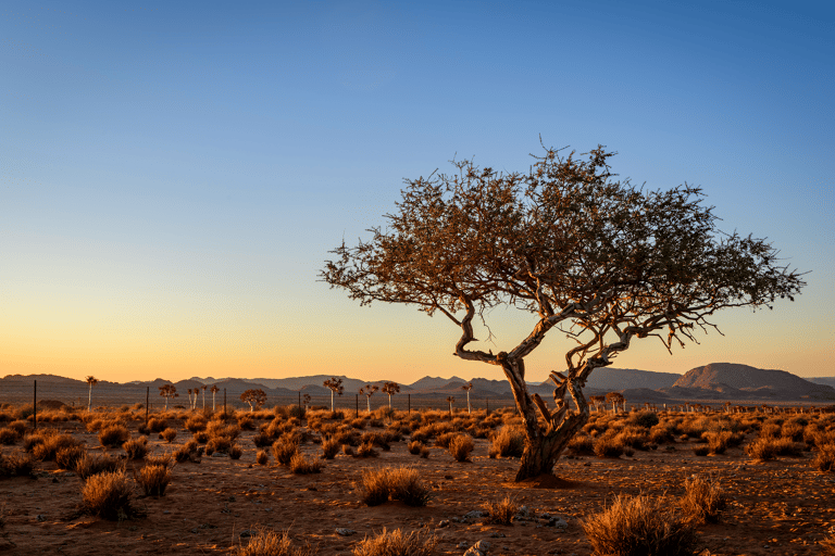 south-africa-desert-sunset