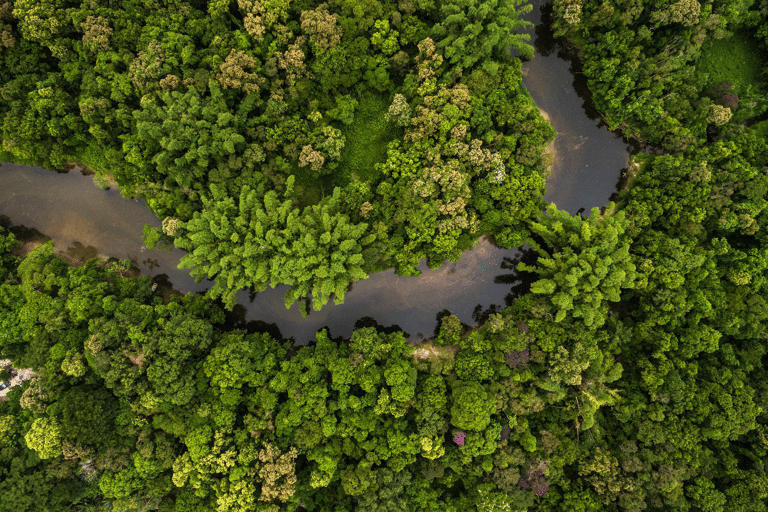 south-america-amazon-forest-jungle-from-above
