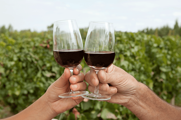 south-america-argentina-mendoza-red-wine-glasses