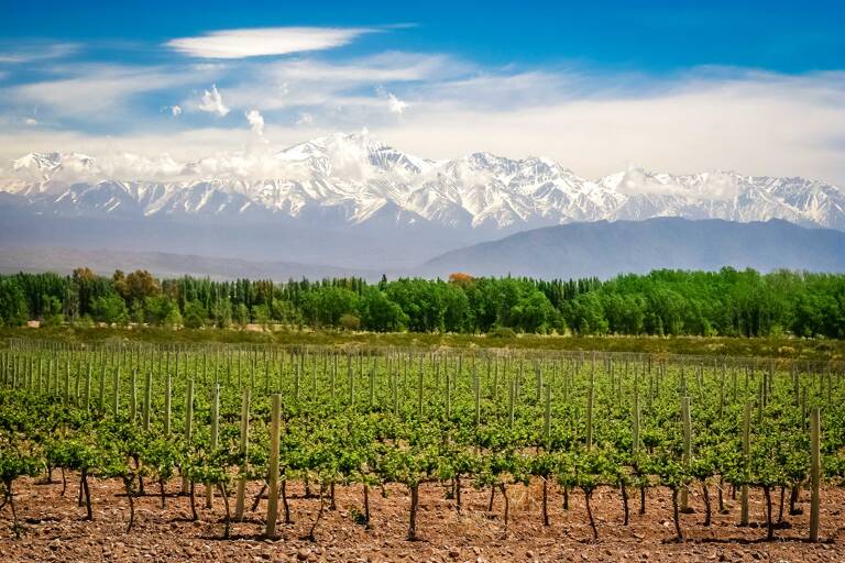 south-america-argentina-mendoza