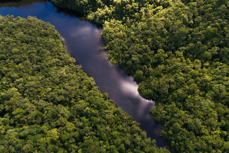 south-america-colombia-amazone-forest-river