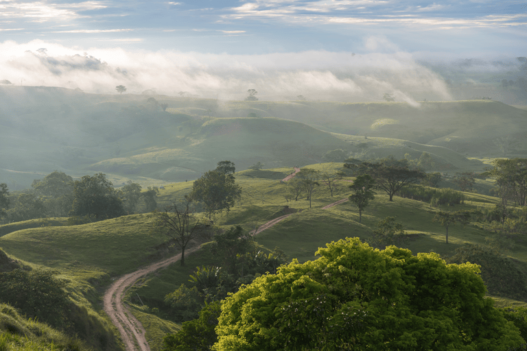 south-america-colombia-nature-view-sun