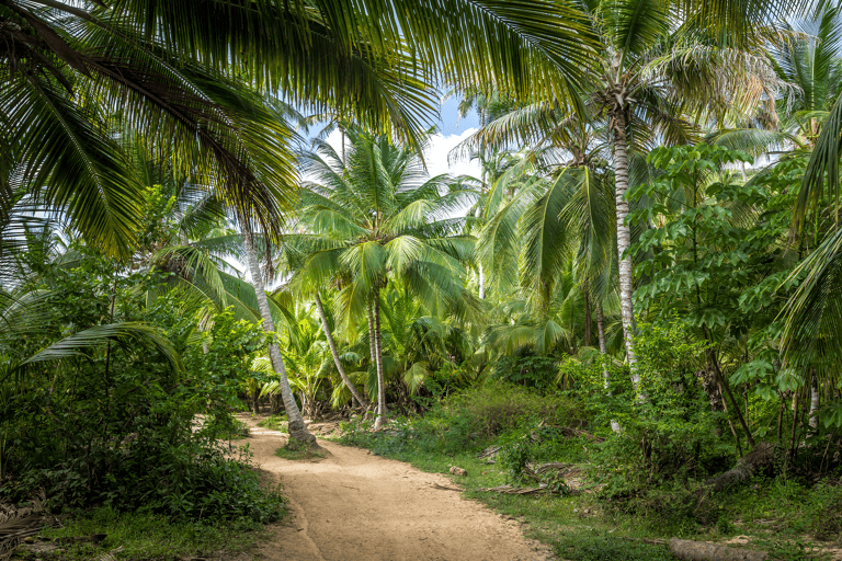 south-america-colombia-tayrona-national-park-jungle
