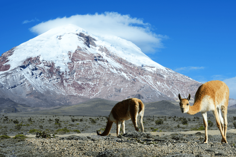 south-america-ecuador-mount-chimborazo