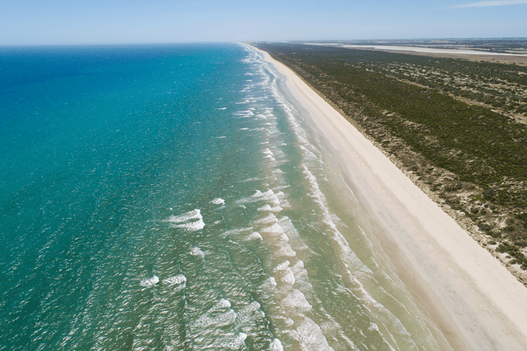 south-pacific-australia-the-coorong-beach
