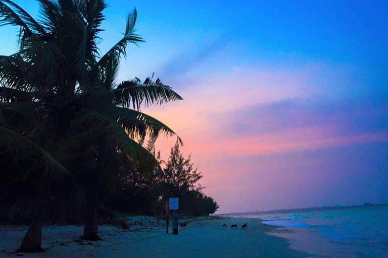 sunset