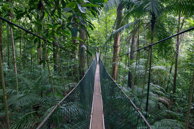 taman-negara