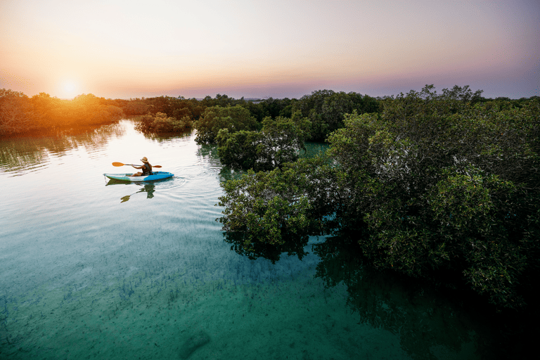 tb-abu-dhabi-jubail-mangrove-park-man-kayaking