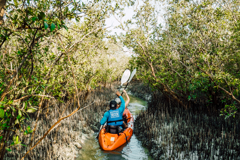 tb-abu-dhabi-mangrove-channel-kayak-friends