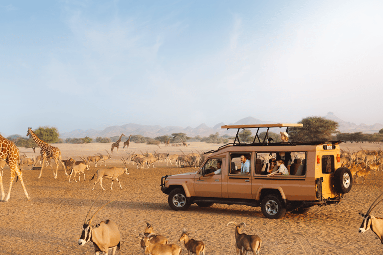 tb-abu-dhabi-sir-bani-yas-island-wildlife-safari-tour-arabian-wildlife-park