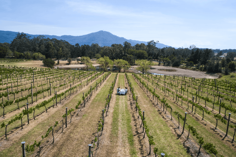 tb-australia-cambewarra-estate-winery